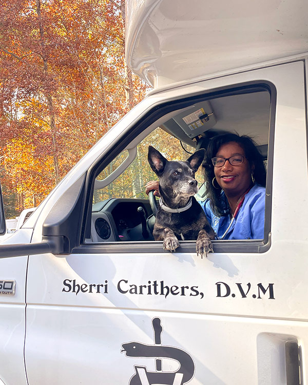 Dr. Sherri Carithers with dog looking out van window